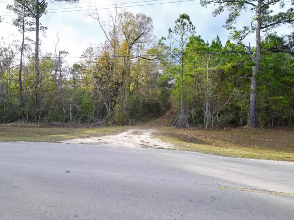 TBD NW County Road 12, Bristol, FL 32321
