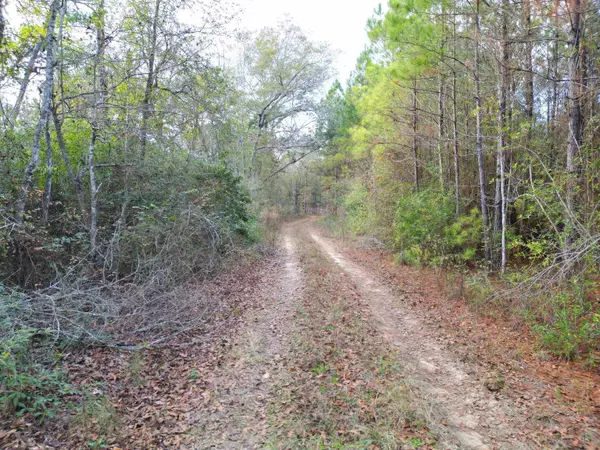 TBD NW County Road 12, Bristol, FL 32321