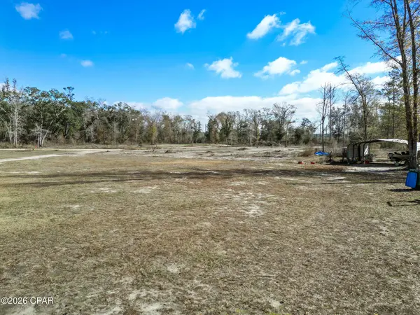 16989 NW EG Buck Larkins RD, Bristol, FL 32321