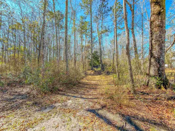 11963 NW Lake Mystic Lee Duggar Road, Bristol, FL 32321