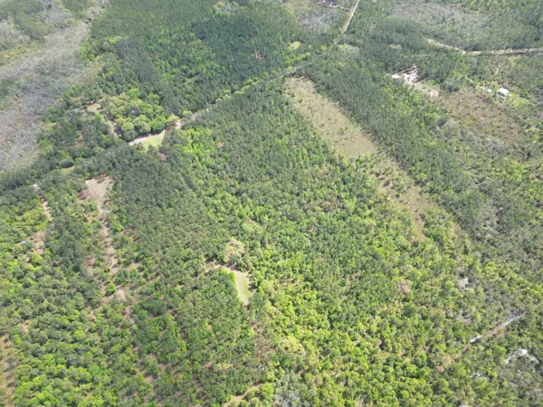 TBD SW Paradise Way, Greenville, FL 32331