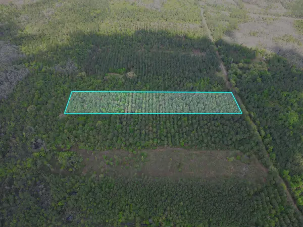 TBD SW Paradise Way, Greenville, FL 32331