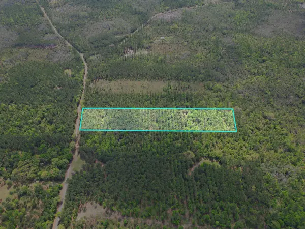 TBD SW Paradise Way, Greenville, FL 32331
