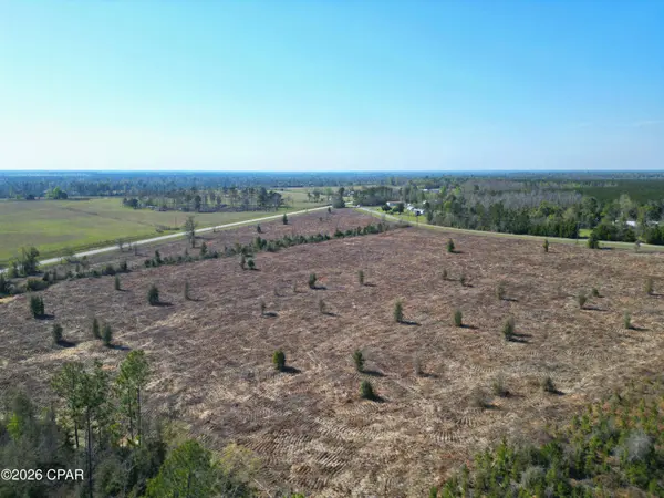 TBD Lot #1, Carlos Peavy RD, Blountstown, FL 32424