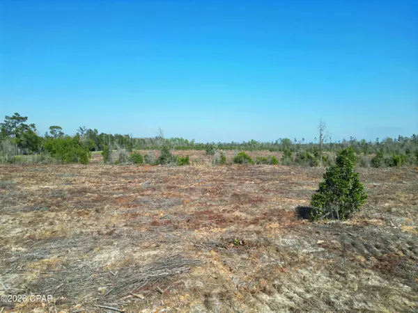 TBD SW Lot #2, SW County Road 275, Blountstown, FL 32424