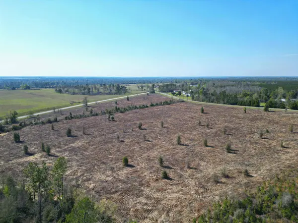 TBD SW Lot #3, County Road 275, Blounstown, FL 32424