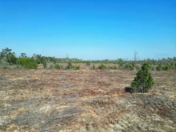 TBD SW Lot #3, County Road 275, Blounstown, FL 32424
