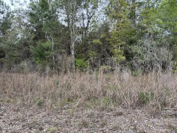 X NW Cook RD, Clarksville, FL 32430