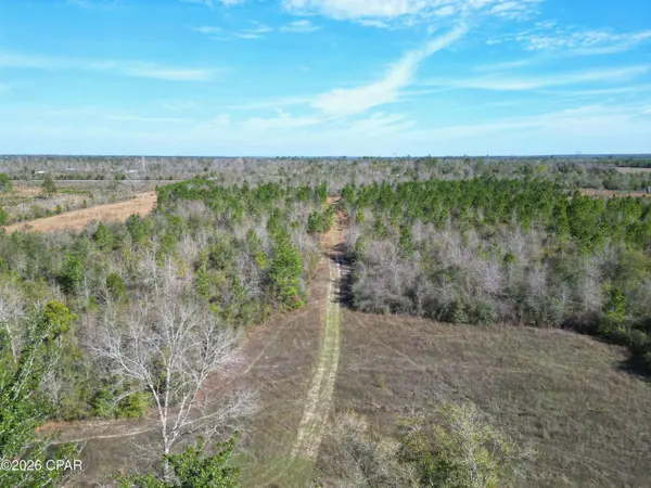 XX Cook/Cain RD, Clarksville, FL 32430