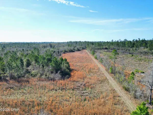 XX Cook/Cain RD, Clarksville, FL 32430