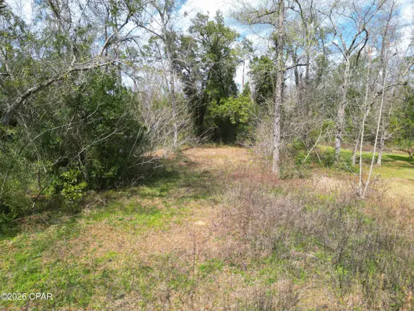 20237 NW Mcclellan AVE #20237, Blountstown, FL 32424