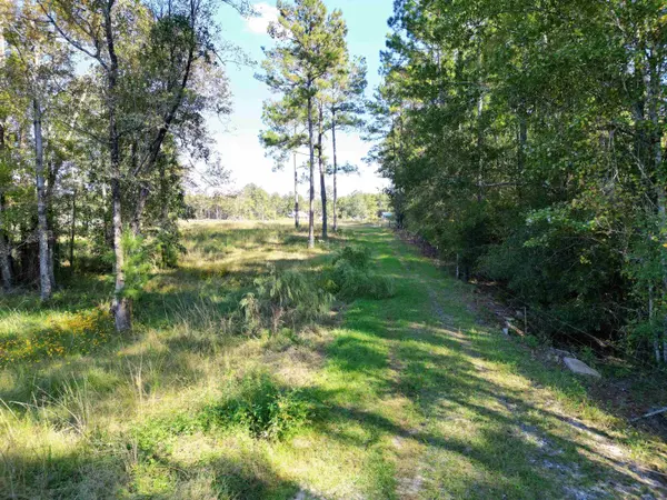17752 NE Arnold Kelly Road, Hosford, FL 32334