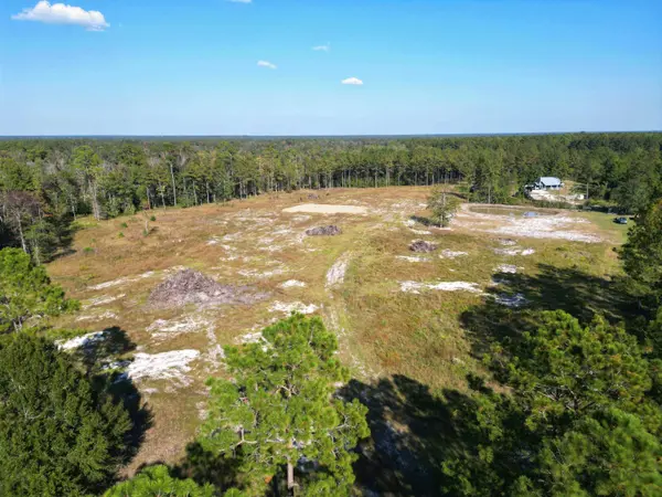 17752 NE Arnold Kelly Road, Hosford, FL 32334