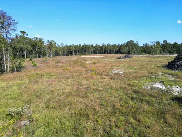 17752 NE Arnold Kelly Road, Hosford, FL 32334