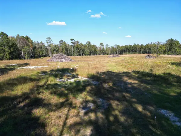 17752 NE Arnold Kelly Road, Hosford, FL 32334
