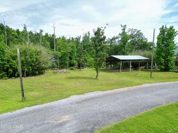 20747 NW Lamb Eddy RD, Altha, FL 32421