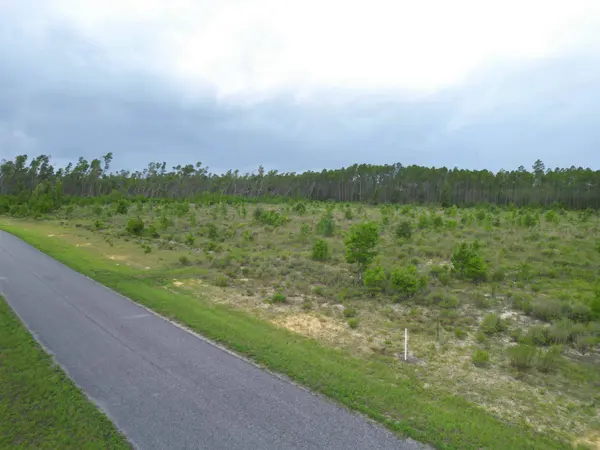 TBD NW Telogia Creek Drive, Bristol, FL 32321