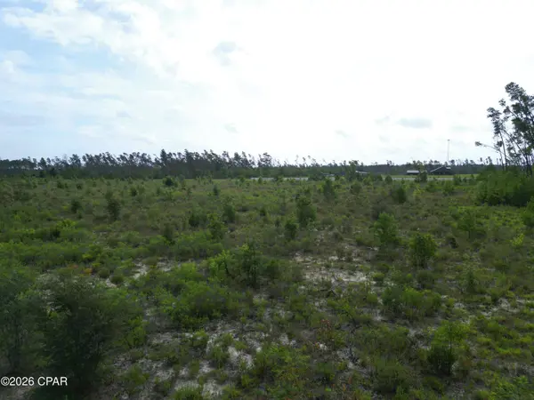 TBD NW Telogia Creek DR, Bristol, FL 32321