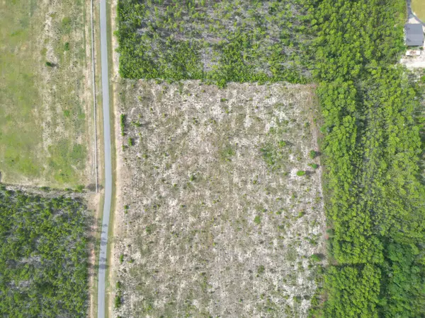 TBD NW Telogia Creek Drive, Bristol, FL 32321