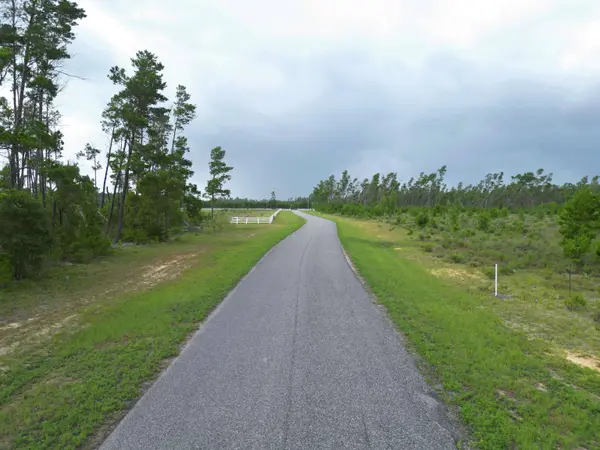 TBD NW Telogia Creek Drive, Bristol, FL 32321