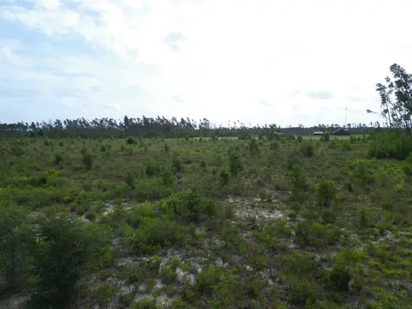 TBD NW Telogia Creek Drive, Bristol, FL 32321