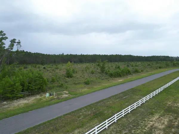 TBD NW Telogia Creek Drive, Bristol, FL 32321