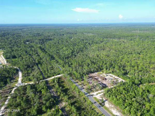 TBD SW State Road 65, Bristol, FL 32321