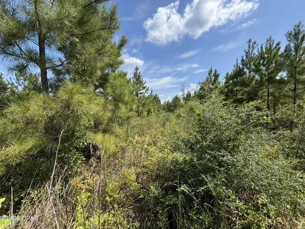 XXX SE Davis Peacock RD #Lot 51, Blountstown, FL 32424