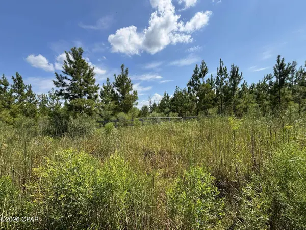 XXX SE Davis Peacock RD #Lot 51, Blountstown, FL 32424