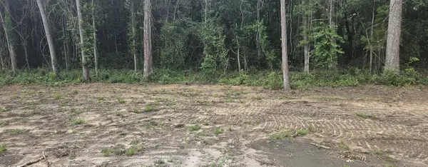 117 Martin Dr, Eutawville, SC 29048