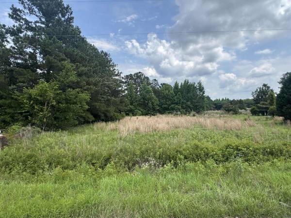 135 Avacodo Dr, Santee, SC 29142