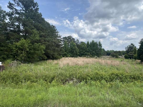 135 Avacodo Dr, Santee, SC 29142