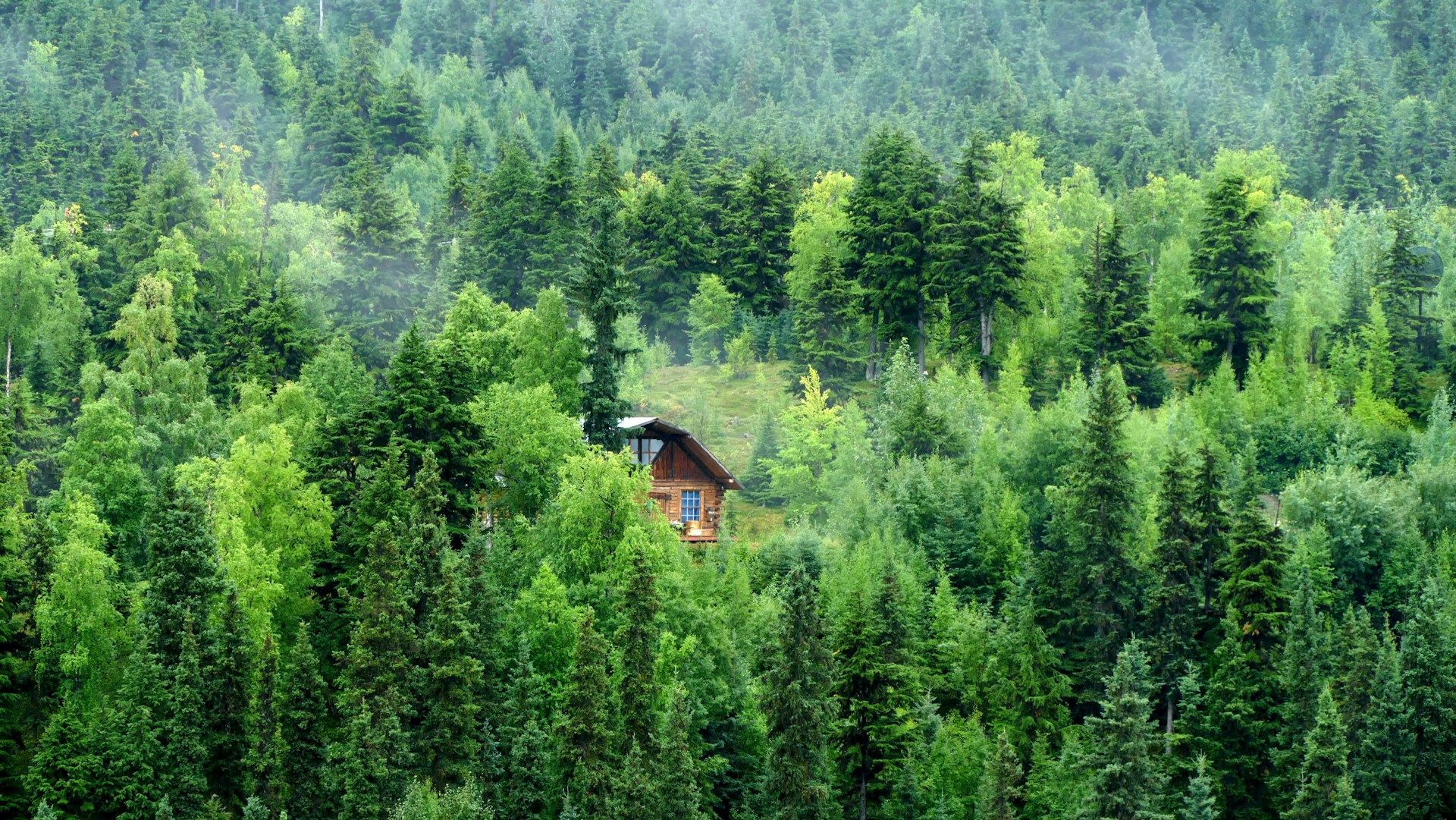 joris-beugels-ohDgMN0Xsuk-unsplash