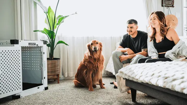 feature image of Buying Your First Home in North County San Diego: Two Moves That Could Help You Get There Sooner