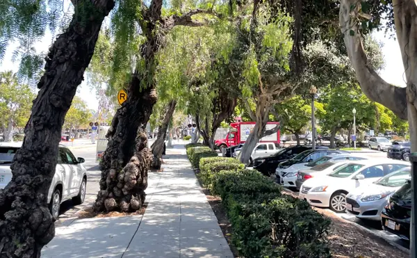feature image of North County San Diego: A Guide to the Best Schools and Family-Friendly Communities