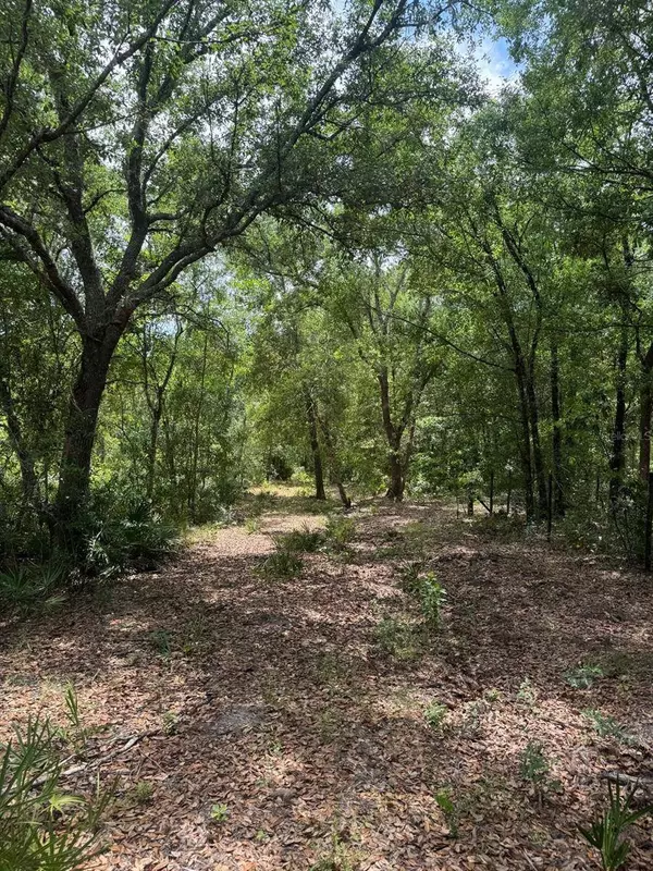 OIL WELL RD, Clermont, FL 34714