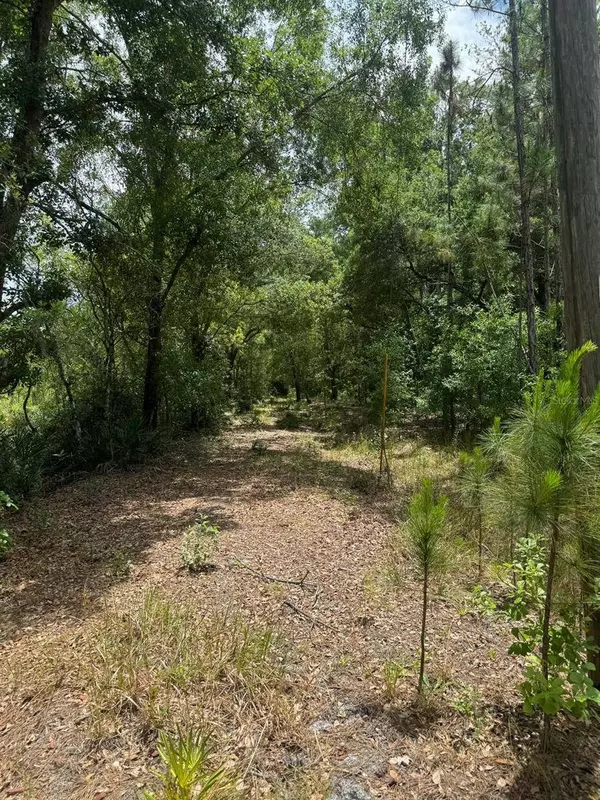 OIL WELL RD, Clermont, FL 34714