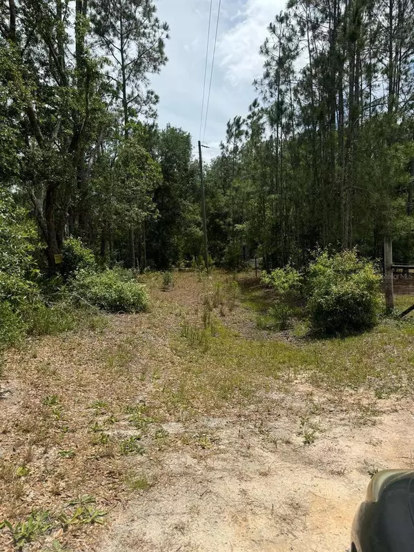 OIL WELL RD, Clermont, FL 34714