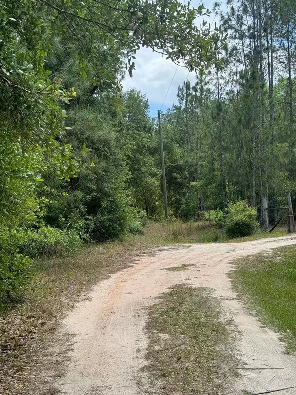 OIL WELL RD, Clermont, FL 34714