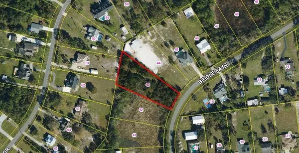 BRIDLE PATH, St Cloud, FL 34771