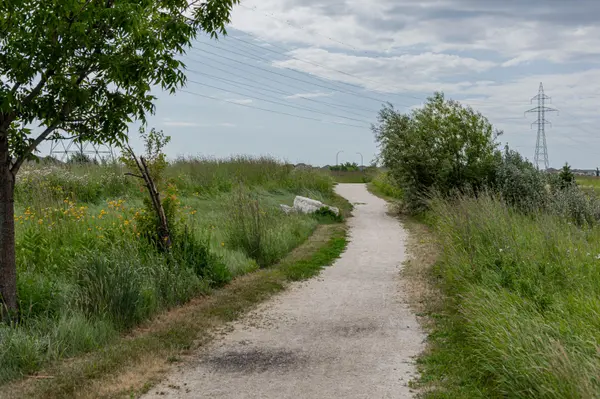 Trail through Sage Creek - Sage Creek 
