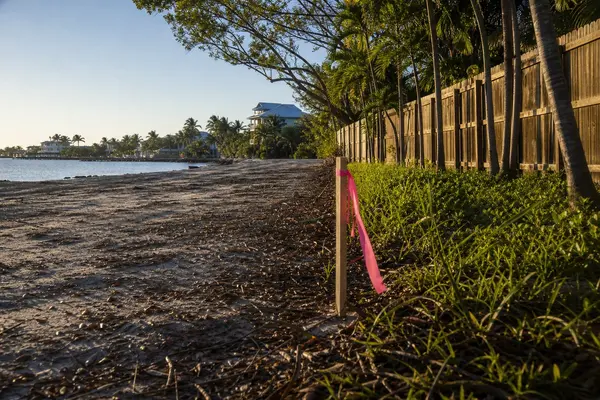 Key West Vacation Rental Rules Buyers Must Check First