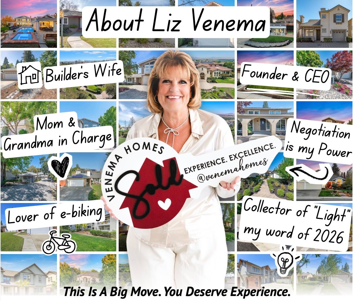 Liz Venema — Pleasanton Real Estate Advisor