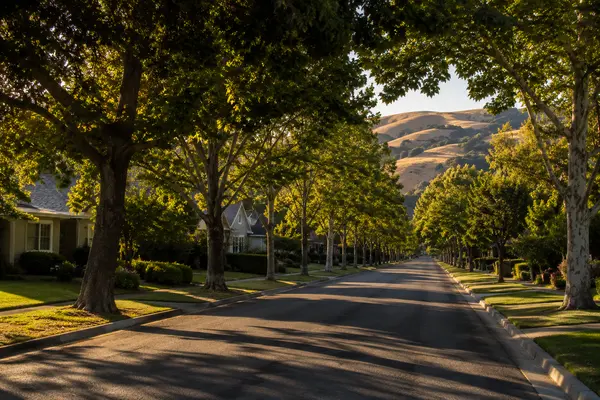 feature image of How Much Will You Actually Keep? A Pleasanton Seller's Complete Guide to Taxes, Timing, and Net Proceeds in 2026