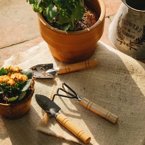 Summer Home Maintenance Tips Every Homeowner Should Know