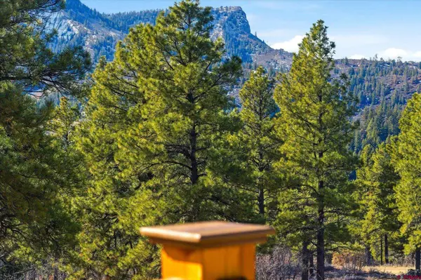 Luxury Mountain Living with In Law Suite and Views in Pagosa Springs, Colorado,The Blackmore Group