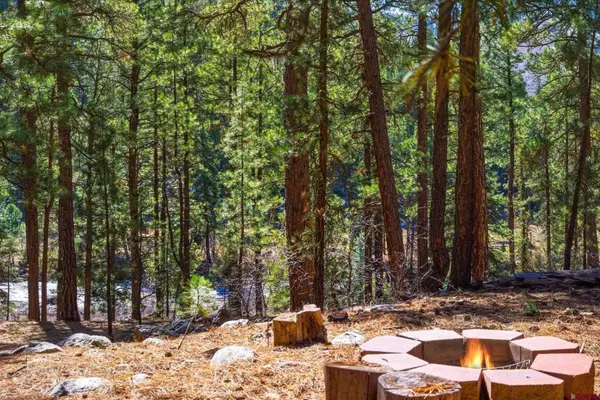 Luxury Mountain Retreat in Bayfield, Colorado