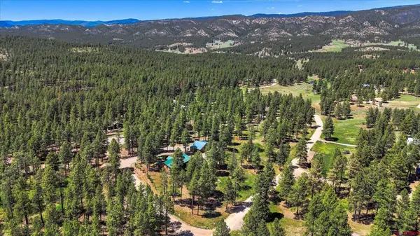Colorado Mountain Horse Property Near National Forest Access