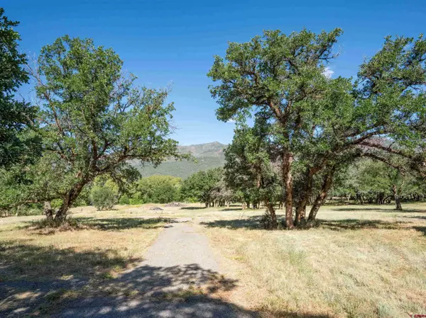 7645 CR 250, Durango, CO 81301