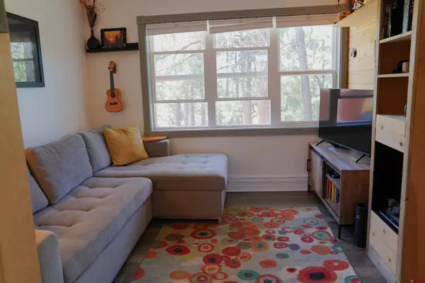 308 Silver Queen South #102, Durango, CO 81301